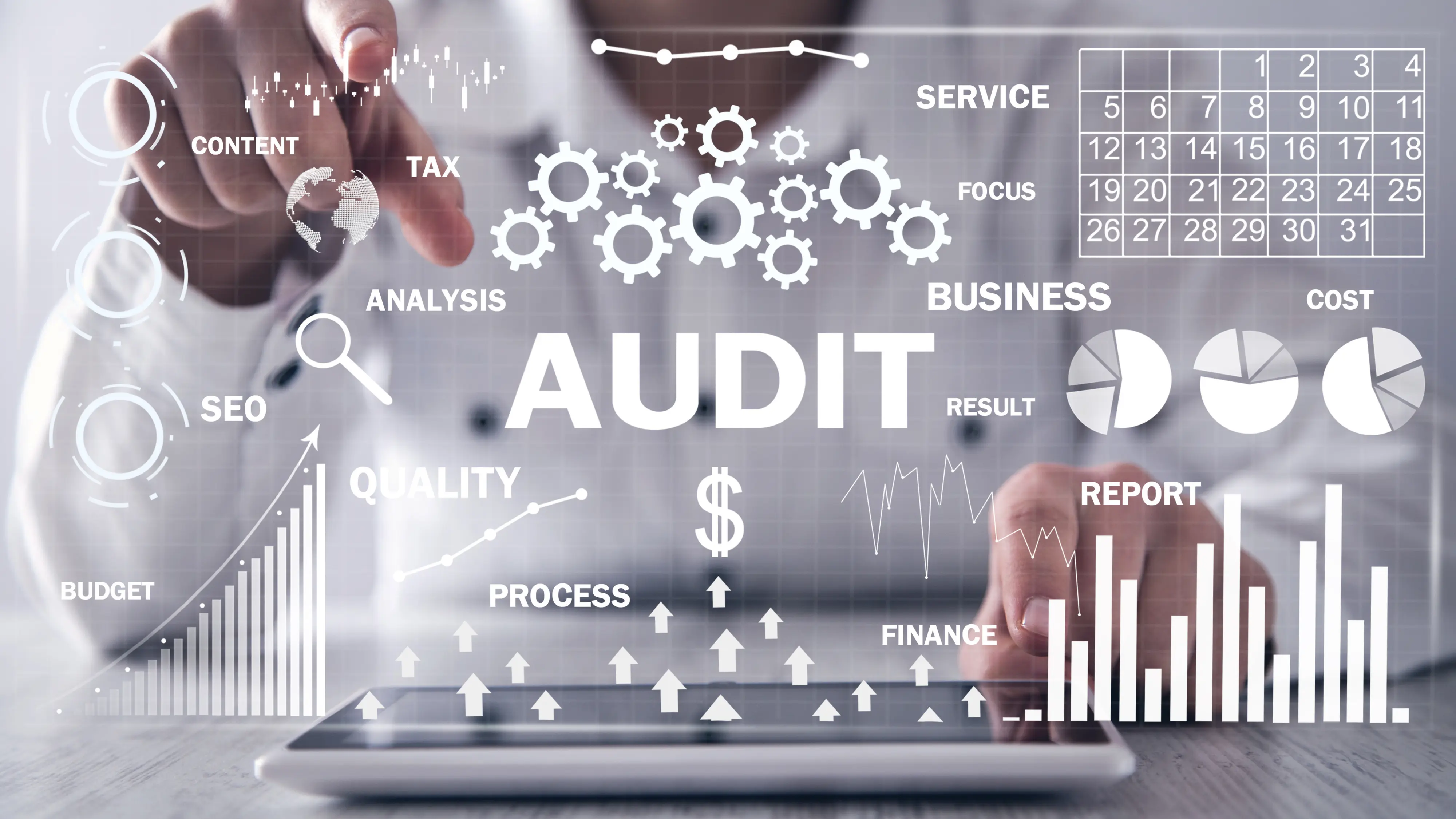 Auditing services at Acharya Professional Accountants